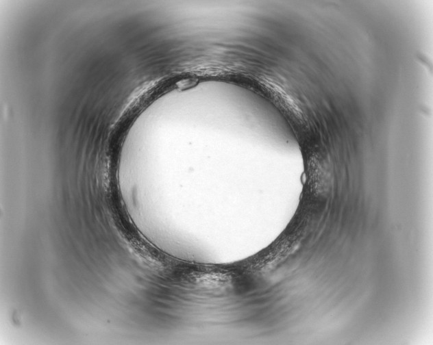 X0000093410400200711020959