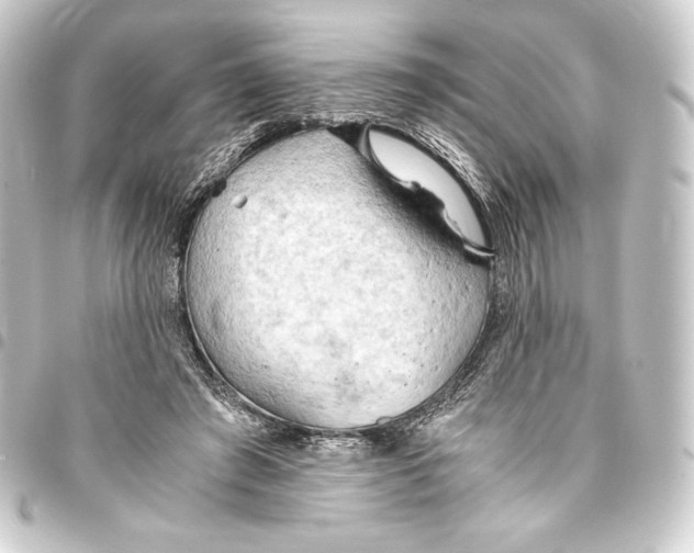 X0000093410401200711020959