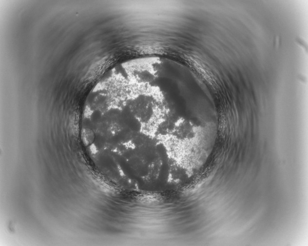 X0000093410402200711020959