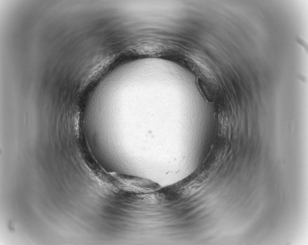 X0000093410404200711020959