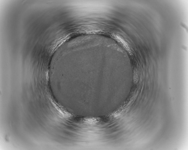 X0000093410405200711020959