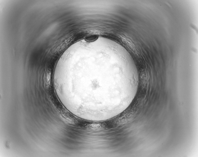 X0000093410406200711020959