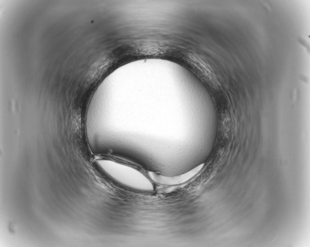 X0000093410407200711020959