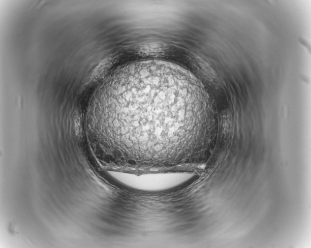 X0000093410408200711020959