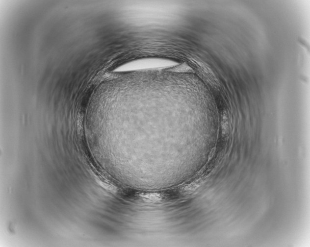 X0000093410409200711020959