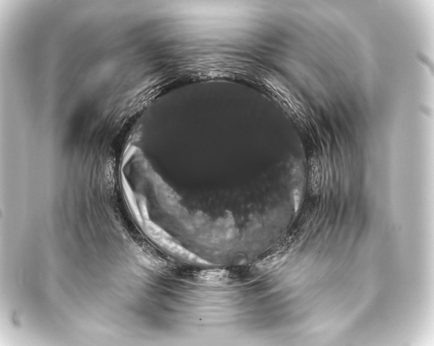 X0000093410410200711020959