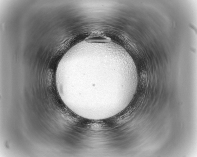 X0000093410412200711020959