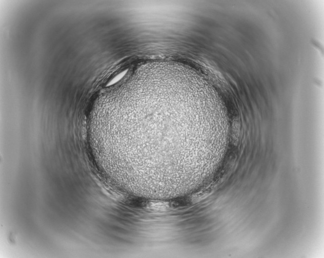 X0000093410413200711020959