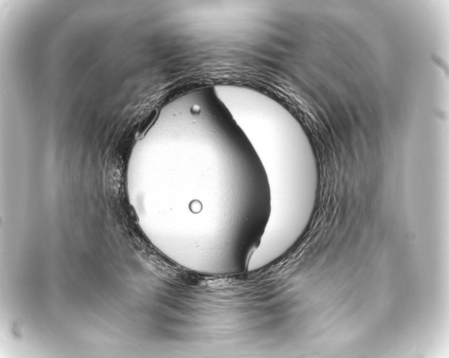 X0000093410417200711020959