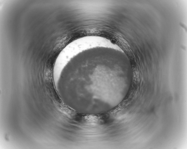 X0000093410419200711020959