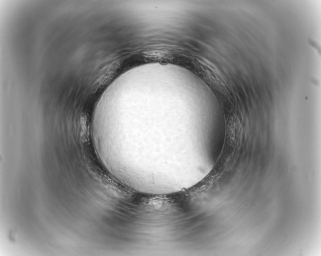 X0000093410420200711020959