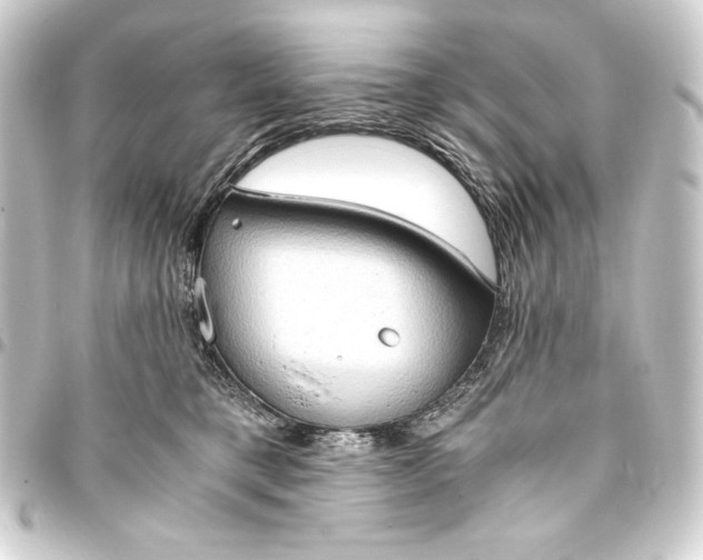 X0000093410421200711020959