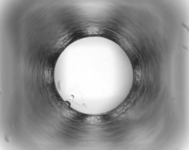 X0000093410422200711020959