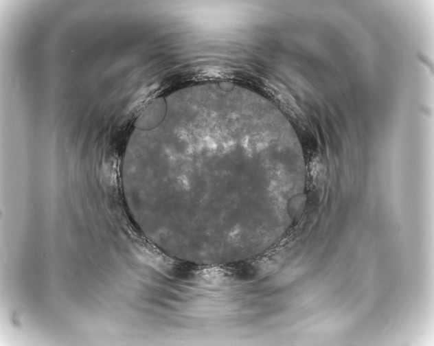 X0000093410423200711020959