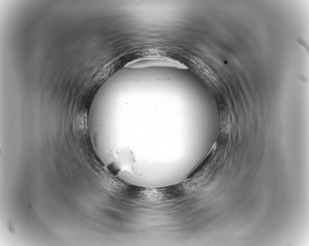 X0000093410425200711020959