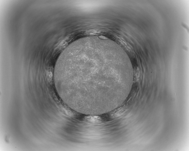 X0000093410427200711020959