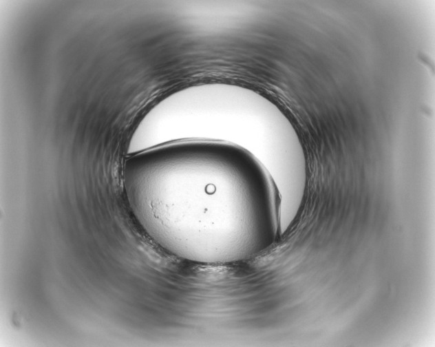 X0000093410428200711020959