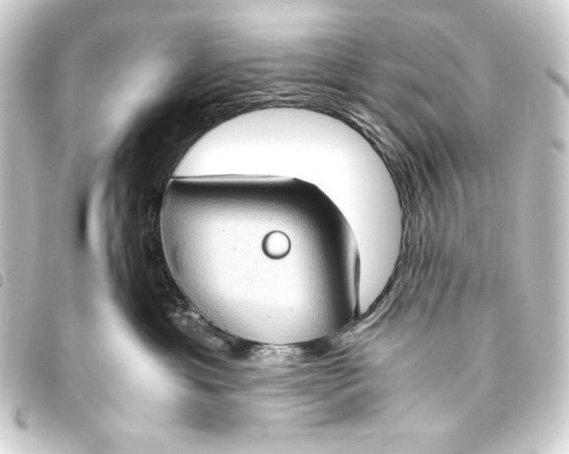 X0000093410429200711020959