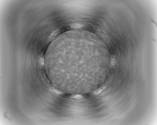 X0000093410431200711020959