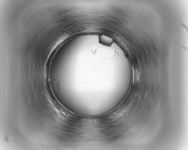 X0000093410435200711020958