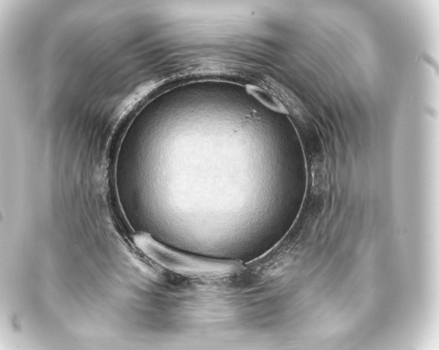 X0000093410436200711020958