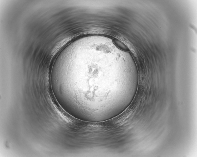 X0000093410437200711020958