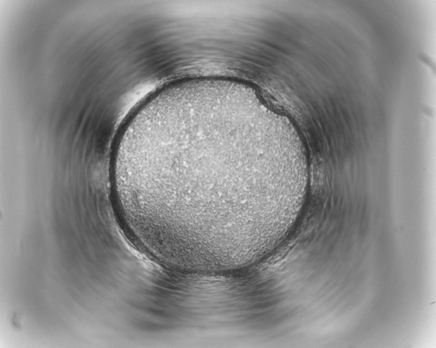 X0000093410438200711020958