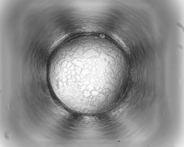 X0000093410442200711020958