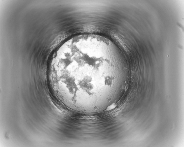 X0000093410443200711020958