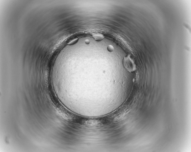 X0000093410444200711020958