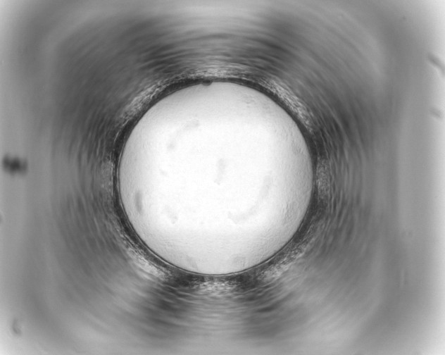 X0000093410445200711020958