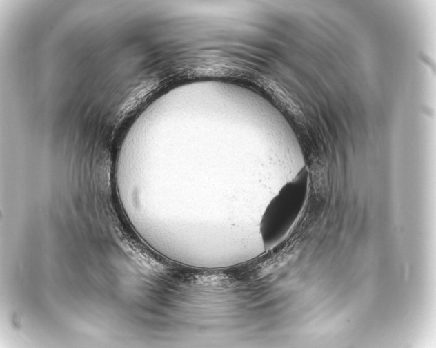 X0000093410446200711020958