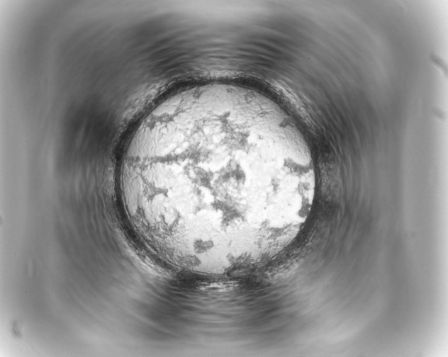 X0000093410447200711020958