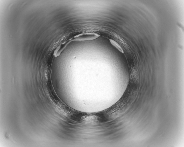 X0000093410452200711020958