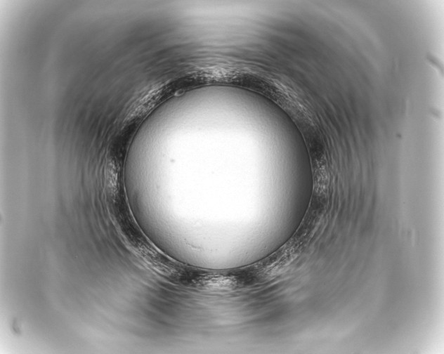 X0000093410456200711020959