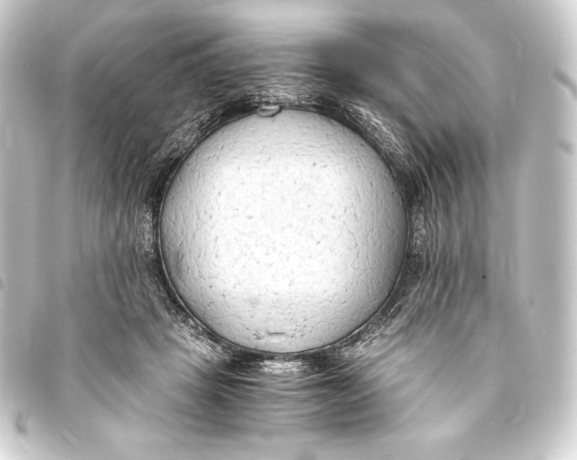 X0000093410457200711020959