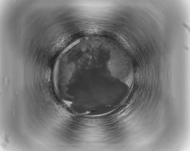 X0000093410458200711020959