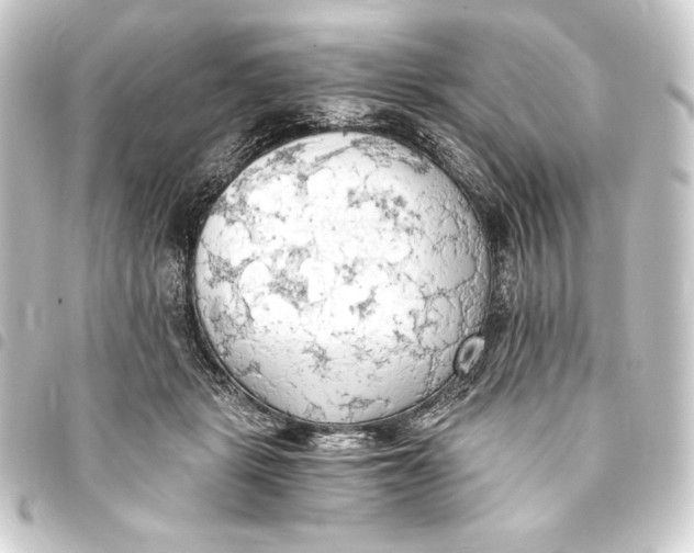 X0000093410461200711020959