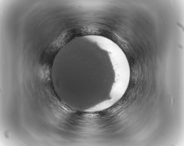 X0000093410465200711020959