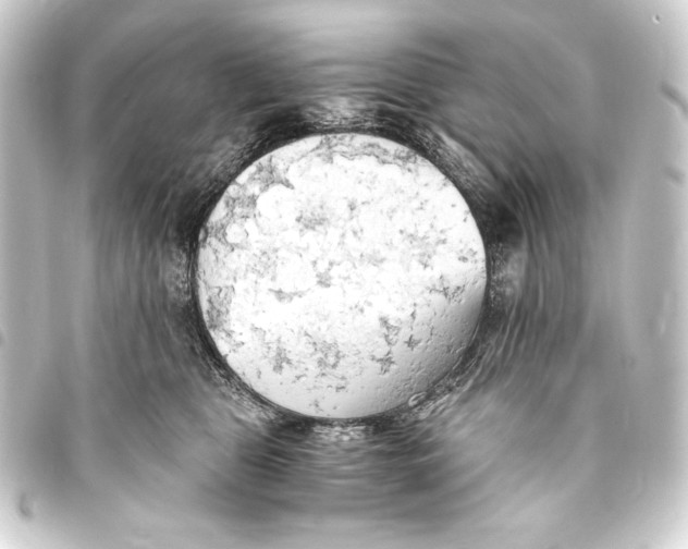 X0000093410469200711020959