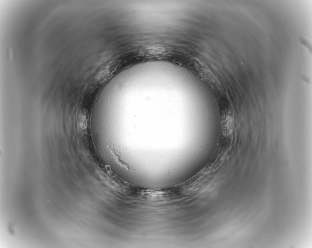 X0000093410472200711020959