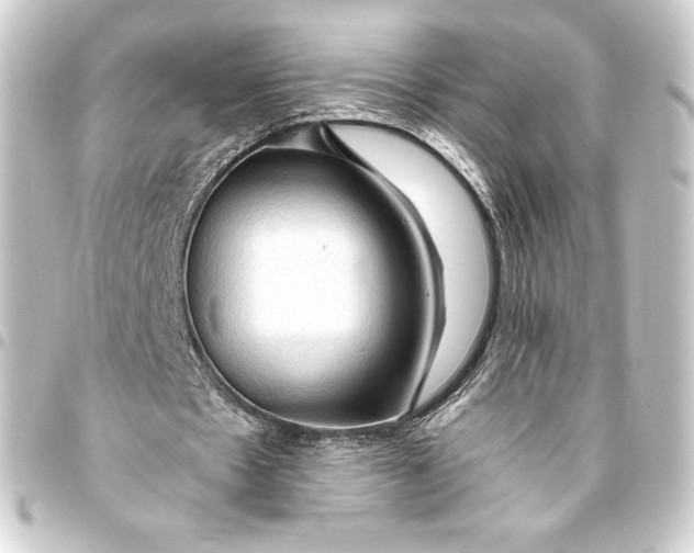 X0000093410481200711020958