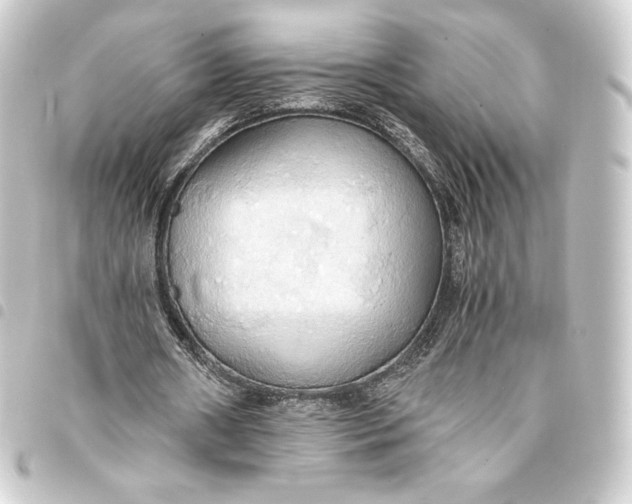 X0000093410482200711020958