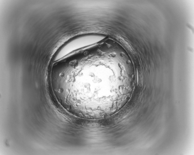 X0000093410483200711020958