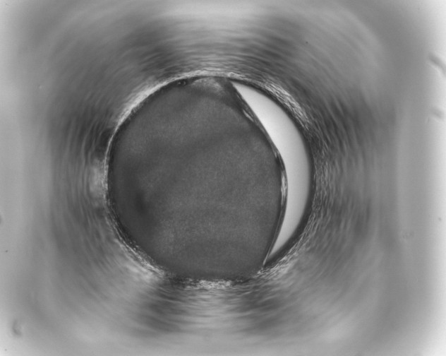 X0000093410484200711020958