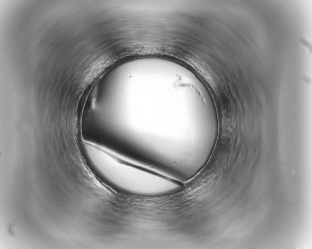 X0000093410485200711020958