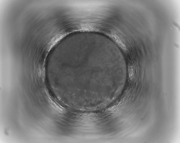 X0000093410488200711020958