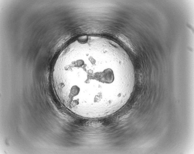 X0000093410491200711020958