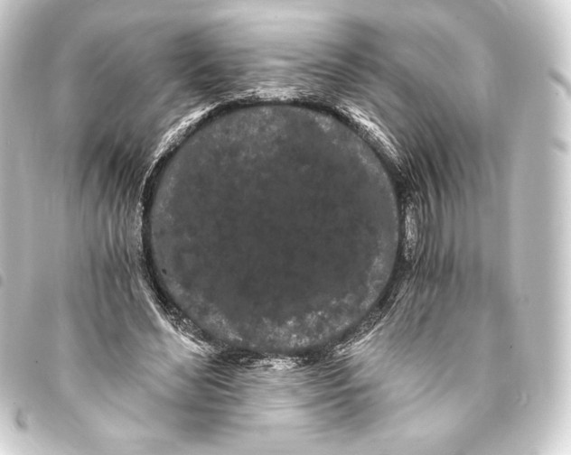 X0000093410492200711020958