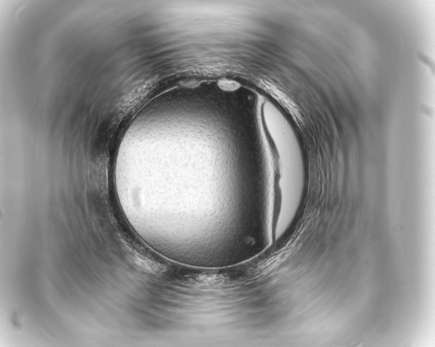 X0000093410493200711020958